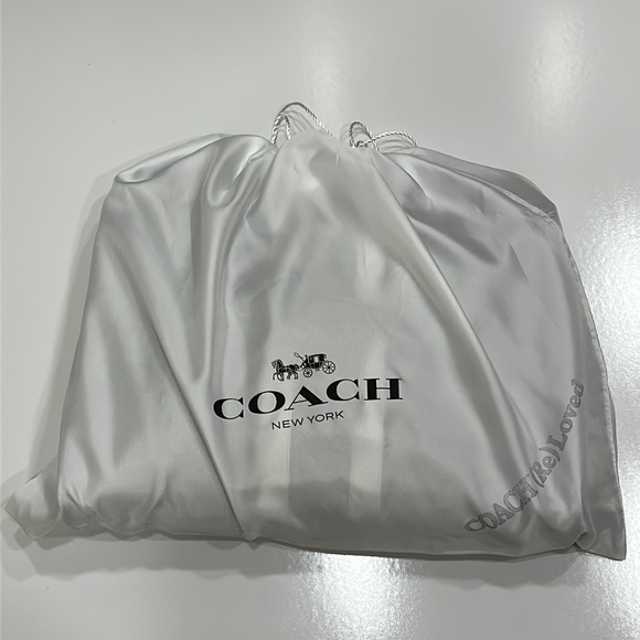 Coach Rexy Dinosaur XL Extra Large Rogue Brief Crossbody Handbag bag Patch Dino - Picture 6 of 15